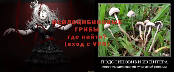 стафф Зеленодольск