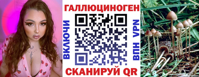 Псилоцибиновые грибы мицелий  Сычёвка 