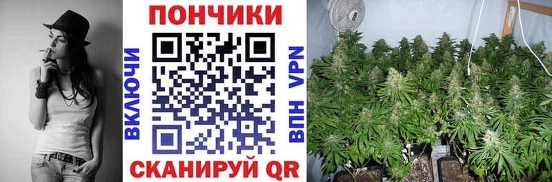 omg   где продают   Сычёвка  Конопля сатива 